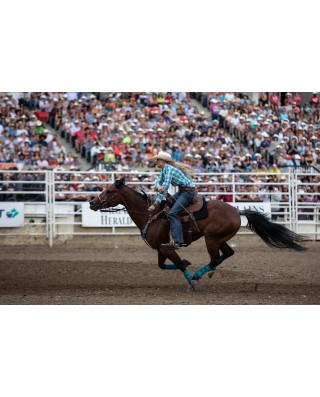 Calgary Stampede