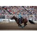 Calgary Stampede Two Day Thrill Package