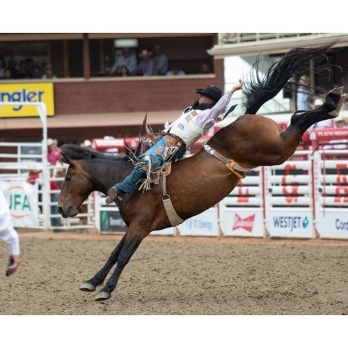 Calgary Stampede Two Day Thrill Package