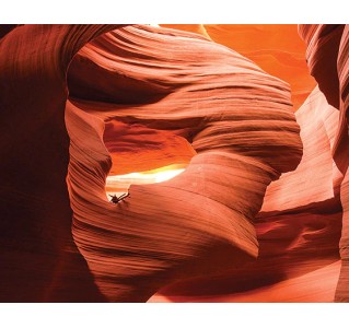 Antelope Canyon & Horseshoe Bend Tour