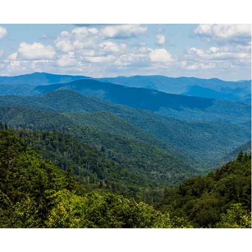 Newfound Gap Smoky Mountains Tour