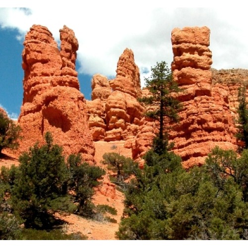 Bryce Canyon & Zion Canyon Combo