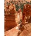 Bryce Canyon & Zion Canyon Combo