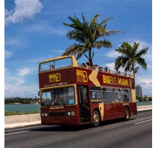 Miami Discover 1 Day Hop-On Hop-Off Tour