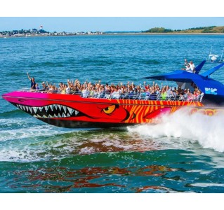 Codzilla Thrill Boat Ride