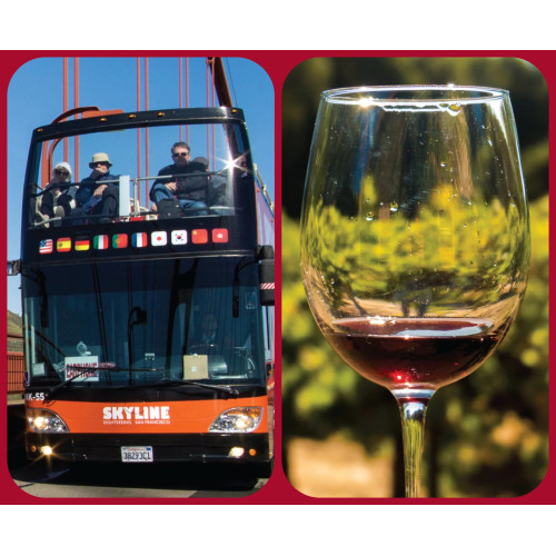 City & Wine (1-Day Hop-On Hop-Off & Half Day Wine Tour)