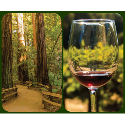 Woods & Wine (Muir Woods & Half Day Wine Tour - 10/11 hrs)