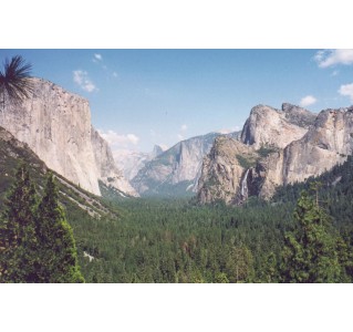 Yosemite National Park Day Tour (5 Hour Park)