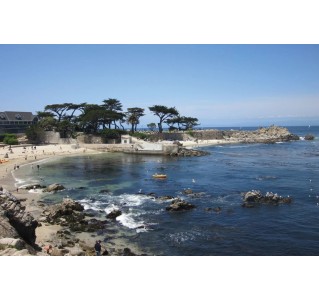 Monterey & Carmel - Day Tour