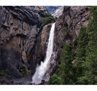 Yosemite National Park Day Tour (5 Hour Park)