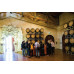 City & Wine (1-Day Hop-On Hop-Off & Half Day Wine Tour)