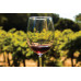 Full Day Wine Country Tour (Sonoma Valley & Napa Valley)