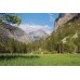 Yosemite National Park Day Tour (5 Hour Park)