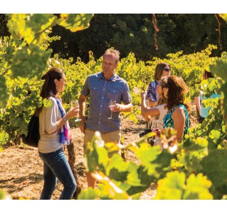 Half Day Wine Country Tour (Sonoma Valley & Napa Valley)