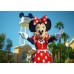 Disneyland® Paris 1 Day / 2 Park Dated Ticket