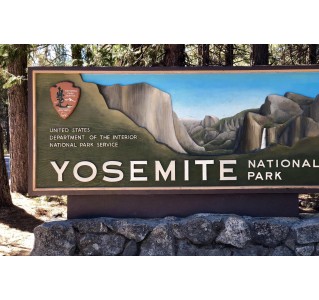 Yosemite National Park - Day Tour (3 Hour Park)