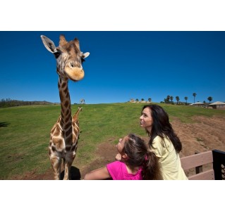 San Diego Zoo Safari Park - 1 Day Pass