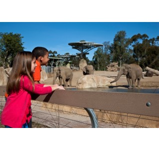 San Diego Zoo - 1 Day Pass