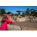 San Diego Zoo - 1 Day Pass