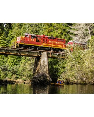 Skunk Train