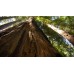 Super Saver: Muir Woods + Hop On/Off City Tour Combo