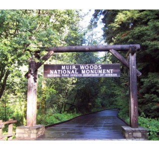 Super Saver: Muir Woods, Sausalito & Half Day Wine Country (9 hrs)