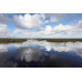 Everglades Admission Ticket - Sawgrass Recreation Park