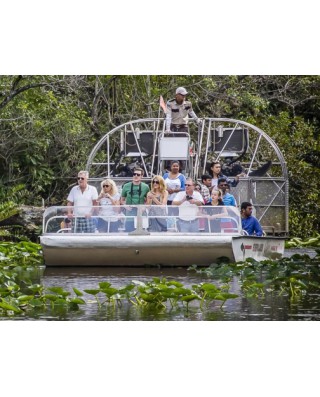 Airboat Tours