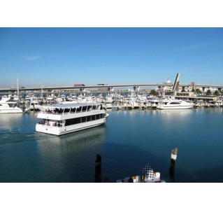 Miami City Tour and Biscayne Bay Cruise