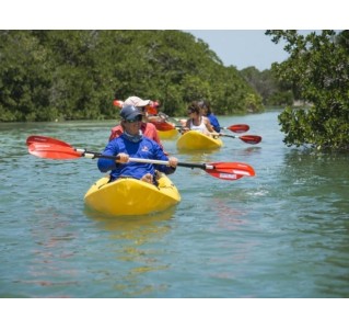 Key West Ultimate Island Eco Tour