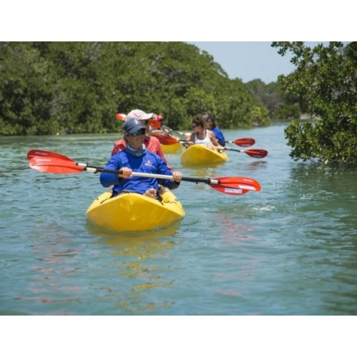 Key West Ultimate Island Eco Tour