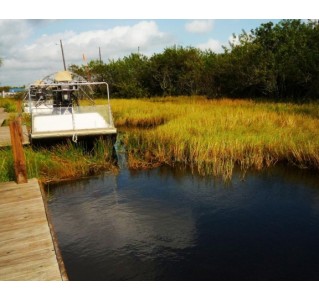 Miami City Tour and Everglades Airboat Adventure 