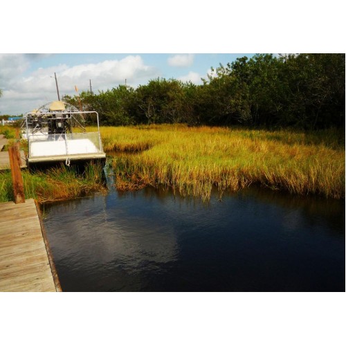 Miami City Tour and Everglades Airboat Adventure 