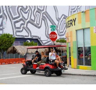 Wynwood Unlimited Experience