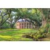 Oak Alley Plantation Tour