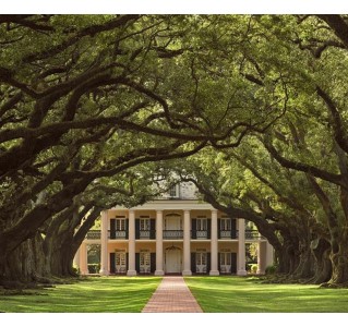 Oak Alley Plantation Tour