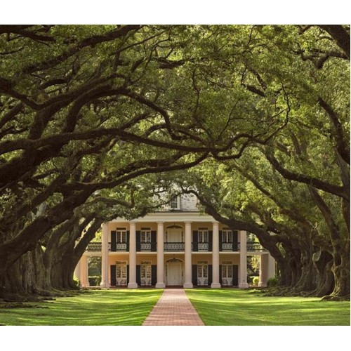 Oak Alley Plantation Tour