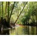 Shingle Creek Guided Kayak Adventure