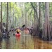 Shingle Creek Guided Kayak Adventure