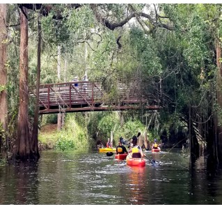 Shingle Creek Guided Kayak Adventure