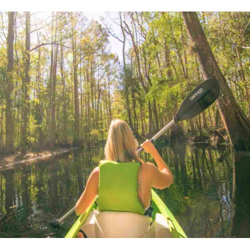 Shingle Creek Guided Kayak Adventure