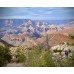 Grand Canyon South Rim with Sedona Tour