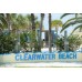 Deluxe Clearwater Marine Aquarium & Beach Trip (with lunch)