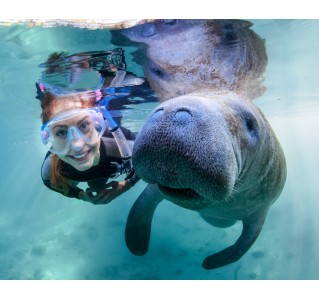 Half Day Manatee Snorkelling Adventure