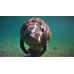 Manatee Snorkelling at Crystal River, lunch & Airboat Ride 