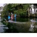 Manatee Snorkelling at Crystal River, lunch & Airboat Ride 