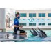 Deluxe Clearwater Marine Aquarium & Beach Trip (with lunch)