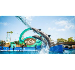  SeaWorld San Diego Any Day Ticket