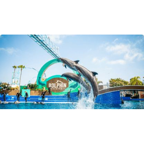  SeaWorld San Diego Any Day Ticket