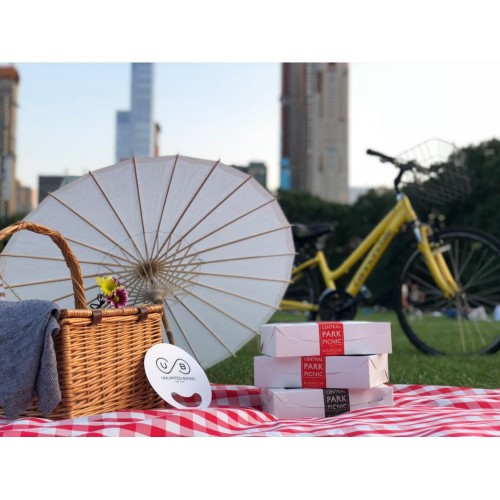 Central Park Bike Rental & Picnic